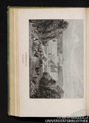 Schönbrunn. Gesamtansicht.