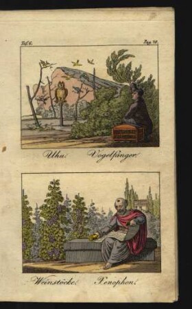 Tafel 6.: Uhu. Vogelfänger. Weinstöcke. Xenophon.