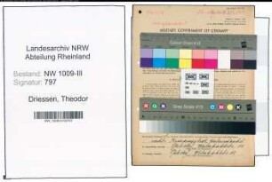 Entnazifizierung Theodor Driessen , geb. 11.04.1918 (Schneider)
