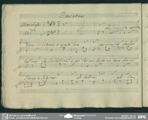 Cavatina: "Che vezzose contadine"