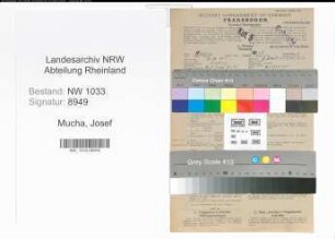 Entnazifizierung Josef Mucha , geb. 07.10.1911 (Anstreicher)