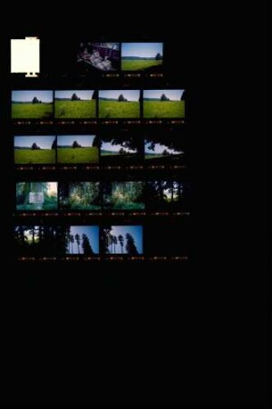 Landesschau-Bilder: Sommer