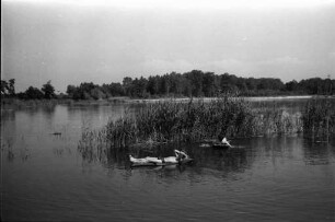 Sommerfreuden am Knielinger See.