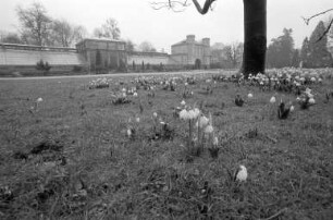 Frühlingstag im Botanischen Garten