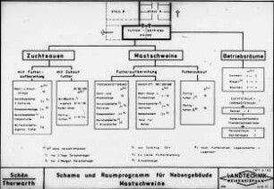 Schema und Raumprogramm für Nebengebäude Mastschweine