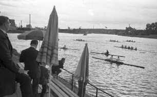 Ruderregatta im Stichkanal des Rheinhafens.
