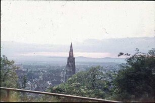 Blick auf Freiburg