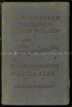 Der Wanderer zwischen beiden Welten von Walter Flex