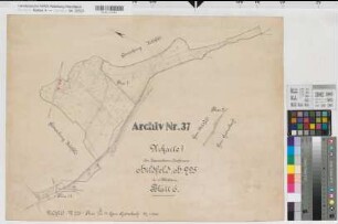 Hildfeld (Winterberg), Separation Hildfeld, Bl.6 Urkarte I Grönebach Flur 1;2;11