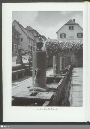 Beerfelden, Mümlingsquelle