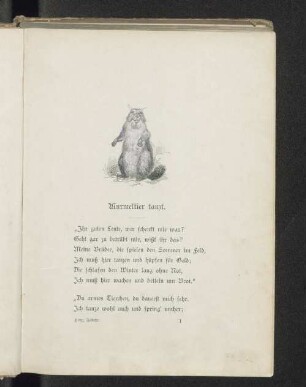 Murmeltier tanzt.