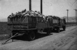 Fotografie: Gartenbautechnik, Transport, Transportgerät, Zweiachsanhänger