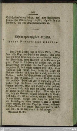 Achtundzwanzigstes Kapitel. Ueber Gewehre und Schießen
