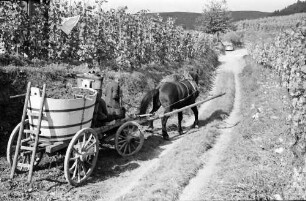 Ihringen: Voller Wagen fährt ab