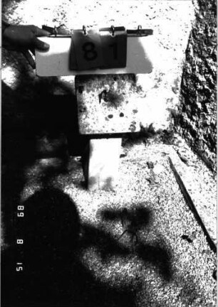 Grabstein 81 (Index: 100105574) Beschreibung: Grabeinfassung und Stellvertreter Besonderheit: Stellvertreter trägt die Nr. 6: Grabstein 81