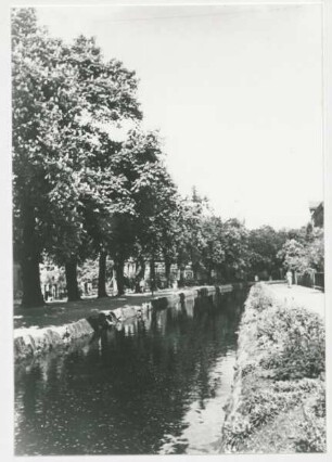 Wall, Kanal, Wallgraben, mit blühenden Kastanien. Detmold