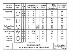 Jungpflanzenanzucht Übliche Anzuchtverfahren von Ballenpflanzgut