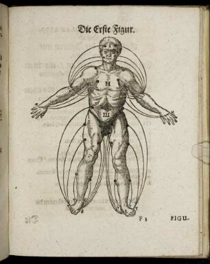 Die Erste Figur