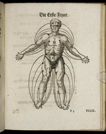 Die Erste Figur