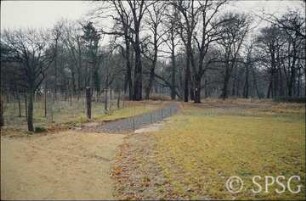 Potsdam, Park Sacrow, Wegeinmündung in den östlichen Uferweg.