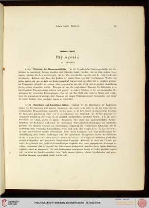 6. Phylogenie (Stammesgeschichte)