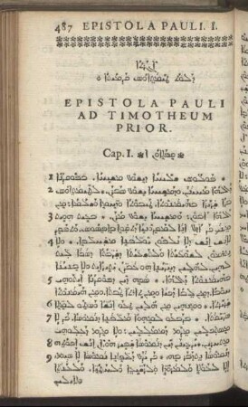 Epistola Pauli Ad Timotheum Prior; ... Posterior.