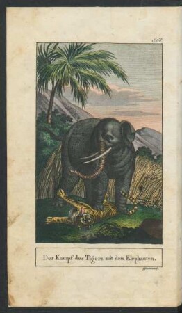 Tafel: Der Kampf des Tigers mit dem Elephanten.