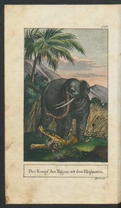 Tafel: Der Kampf des Tigers mit dem Elephanten.