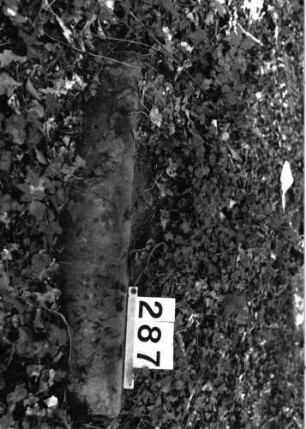 Grabstein 287 (Index: 99897652): Grabstein 287