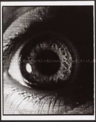Auge (Altersgruppe 14-17)