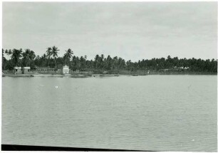 Kokoswald bei Maceió