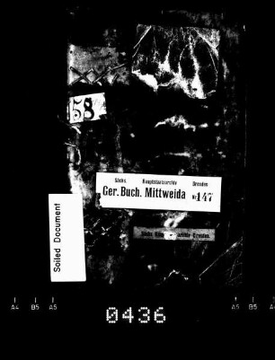 Gerichtsbuch