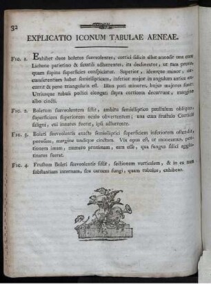 Explicatio Iconum Tabulae Aeneae.