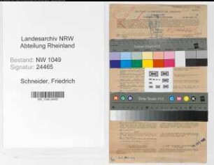 Entnazifizierung Friedrich Schneider , geb. 14.08.1899 (Bankangestellter)