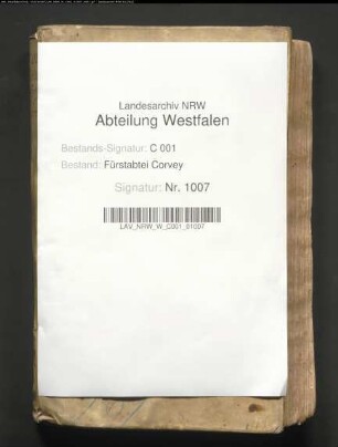 Protokolle des geistlichen Gerichts (Protocollum judicii ecclesiastici)