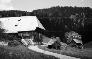 Schwarzwaldhof an der B 31 bei Breitnau mit dem Weg im Vordergrund