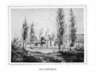 Callenberg