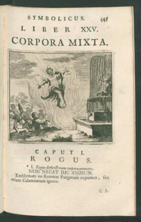 Liber XXV. Corpora Mixta.