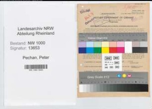 Entnazifizierung Peter Pechan, geb. 31.12.1889 (Postinspektor)