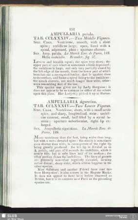Ampullaria patula. Tab. CCLXXXIV. — Two Middle Figures
