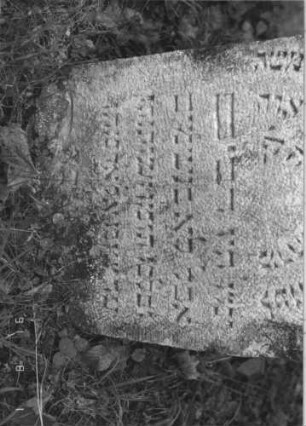 Grabstein 60 (Index: 99787044) Zustand: leicht verwittert Maße HxBxT: 67x42x12 cm: Grabstein 60B