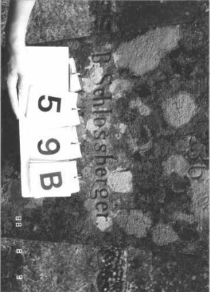 Grabstein 59B