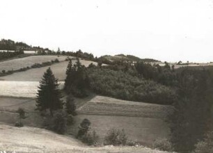 Osterzgebirge. Oberster Mordgrund (Bahratal) gegen den Sattelberg. Blick vom Südosthang der Oelsener Höhe nach Südwesten