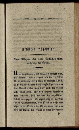 Zehnter Abschnitt. Vom Ablegen oder einer künstlichen Vermehrung der Stöcke.