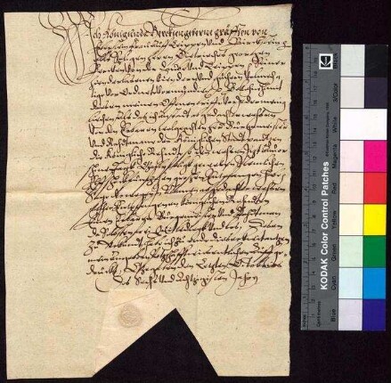 Kunigunde Berka von Duba, geborene Gräfin von Eberstein (Königunda Berckin eine geborne Gräffin von Eberstein), Witwe des Sigismund Berka von Duba auf Böhmisch Leipa (Leippe), bestätigt Bürgermeister und Rat der Stadt Bautzen den Empfang der königlichen Jahrrente zu St. Galli über 11 Taler und 15 Groschen.