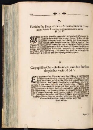 8. Cariophillus Chinensis foliis laeté viridibus floribus simplicibus variis H. M. V.