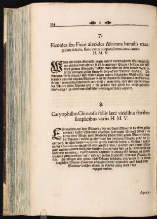 8. Cariophillus Chinensis foliis laeté viridibus floribus simplicibus variis H. M. V.