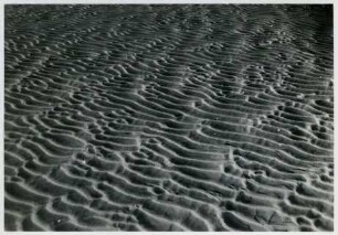 Strukturen im Sandboden, Watt