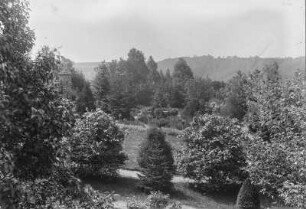Burgruine mit Park