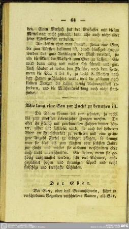 Der Eber